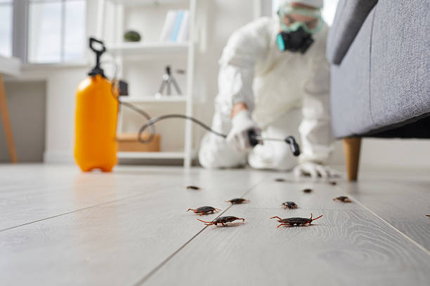 Commercial Kitchen Cockroach Control in New Franklin